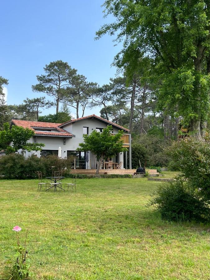 Laguillotte Bed & Breakfast Seignosse Ngoại thất bức ảnh